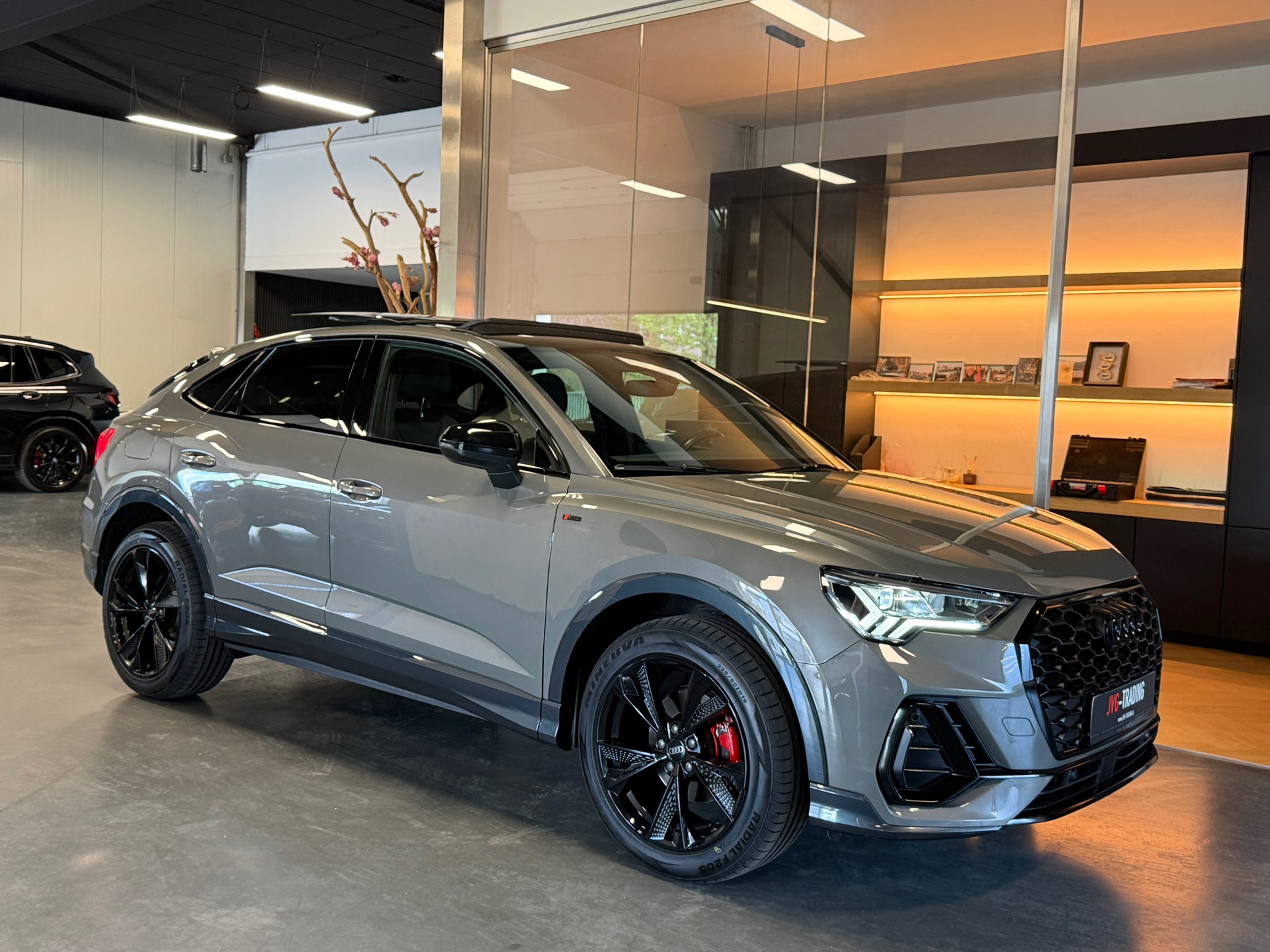 53364629